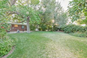 View of green lawn featuring a patio
