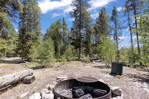 View of yard with an outdoor fire pit