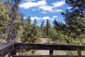 View of yard with a wooded view
