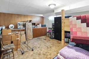 Basement with wood walls and light colored carpet