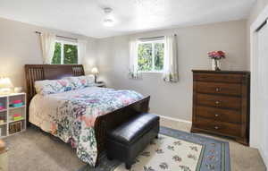 Bedroom featuring carpet, multiple windows, a textured ceiling, and a closet