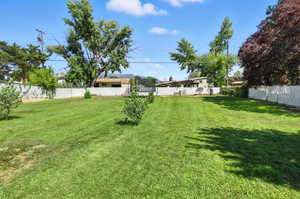 Fenced backyard featuring a trampoline