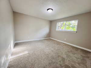 Unfurnished room with light colored carpet and a textured ceiling