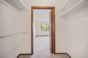 Walk in closet with light colored carpet