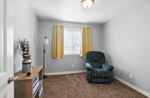 Sitting room with dark carpet and a textured ceiling