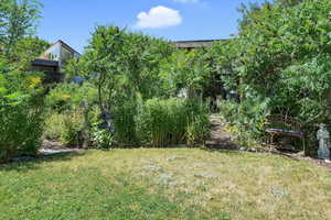 View of grassy yard