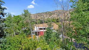 View of mountain background