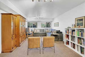 Living area featuring light colored carpet and track lighting