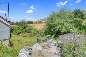 View of grassy yard with a mountain view