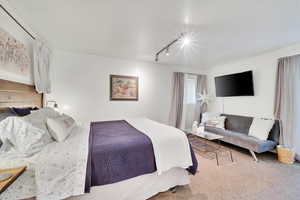 Bedroom featuring rail lighting and carpet