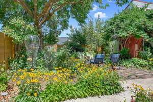 View of yard featuring a patio area