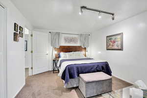 Bedroom with carpet and track lighting