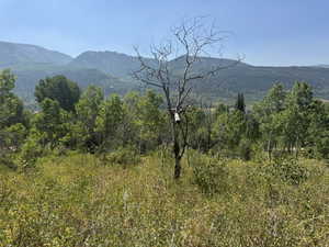 View of mountain background with a forest