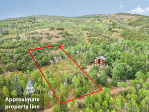 Aerial view of property and surrounding area with property boundaries highlighted and a heavily wooded area