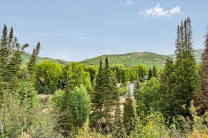 Weber River at Beaver Springs entry