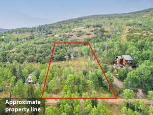 Aerial overview of property's location featuring property boundaries highlighted and a forest