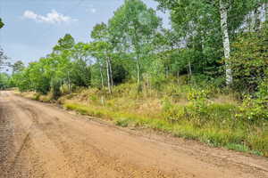 View of dirt / gravel road