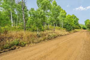 View of dirt / gravel road
