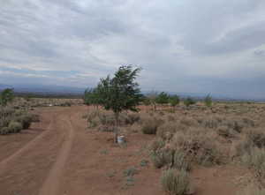 View of street featuring a view of rural / pastoral area