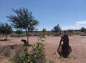 View of yard featuring a view of countryside