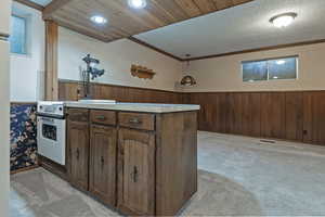 Kitchen featuring a wainscoted wall, wood walls, light carpet, light countertops, and recessed lighting