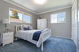 Carpeted bedroom featuring multiple windows, crown molding, and a closet