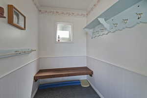 Mudroom featuring dark colored carpet, a wainscoted wall, and ornamental molding