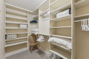 Spacious closet featuring light colored carpet