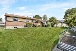 View of  backyard