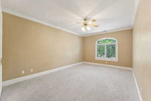 Empty room featuring ornamental molding, carpet flooring, and ceiling fan
