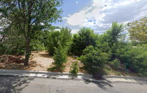 View of undeveloped land