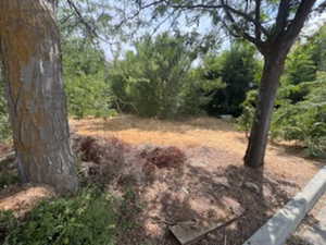 View of nature