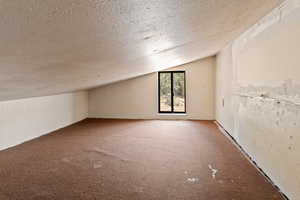 Additional living space with carpet flooring, a textured ceiling, and vaulted ceiling