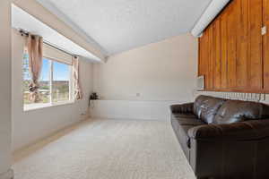 Unfurnished living room with vaulted ceiling, carpet flooring, and a textured ceiling