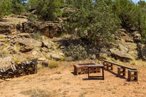 View of local wilderness