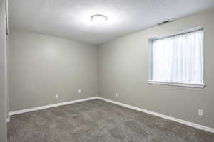 Spare room featuring carpet and a textured ceiling