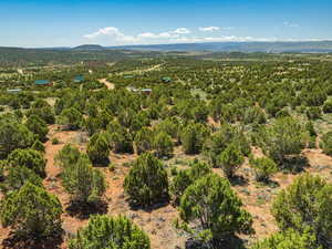 Beautiful Wooded 6.48 Acre lot in Bandanna Ranch!