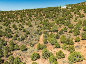 Beautiful Wooded 6.48 Acre lot in Bandanna Ranch!