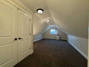 Additional living space with a textured ceiling, dark carpet, and lofted ceiling