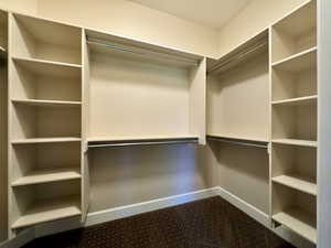 Spacious closet with dark carpet