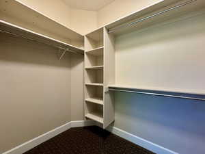Spacious closet featuring dark colored carpet