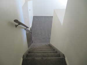 Stairs featuring carpet flooring