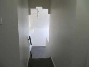 Stairs with baseboards