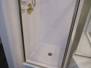 Bathroom view of a shower stall