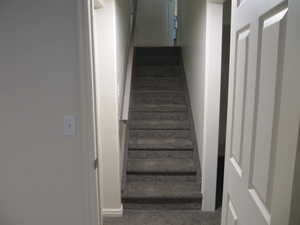 Staircase with carpet floors and baseboards