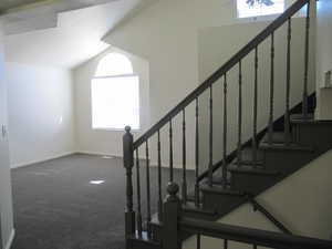 Staircase with lofted ceiling, carpet flooring, and a skylight