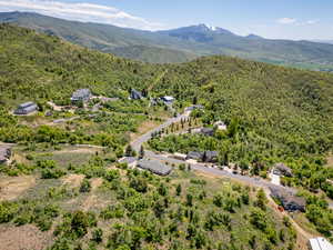 Bird's eye view of a heavily wooded area and a mountain backdrop