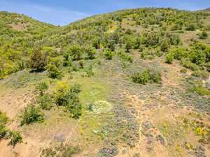 View of mountain backdrop
