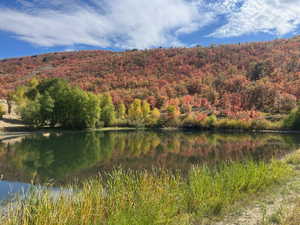 View of mountain backdrop with a heavily wooded area and a large body of water