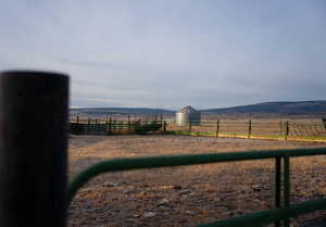 View of yard with a view of rural / pastoral area and a mountain view